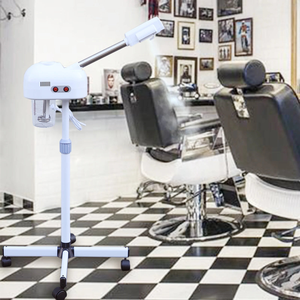 Ozone Facial Steamer Professional Skin Care For Salon And Home