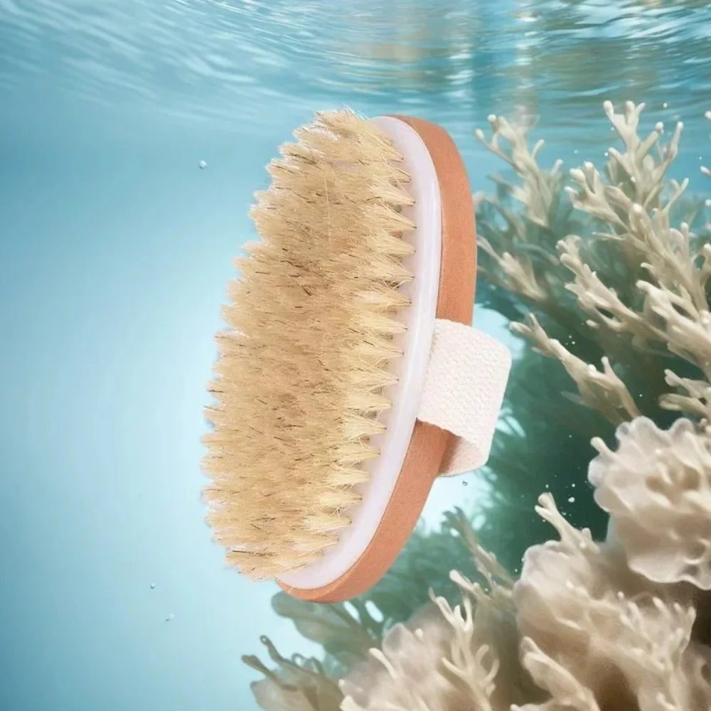 Natural Bristle Dry Body Brush Exfoliates Skin Promotes Circulation