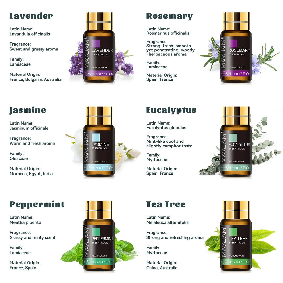 Mayjam 35 Piece Aromatic Essential Oils Collection Set