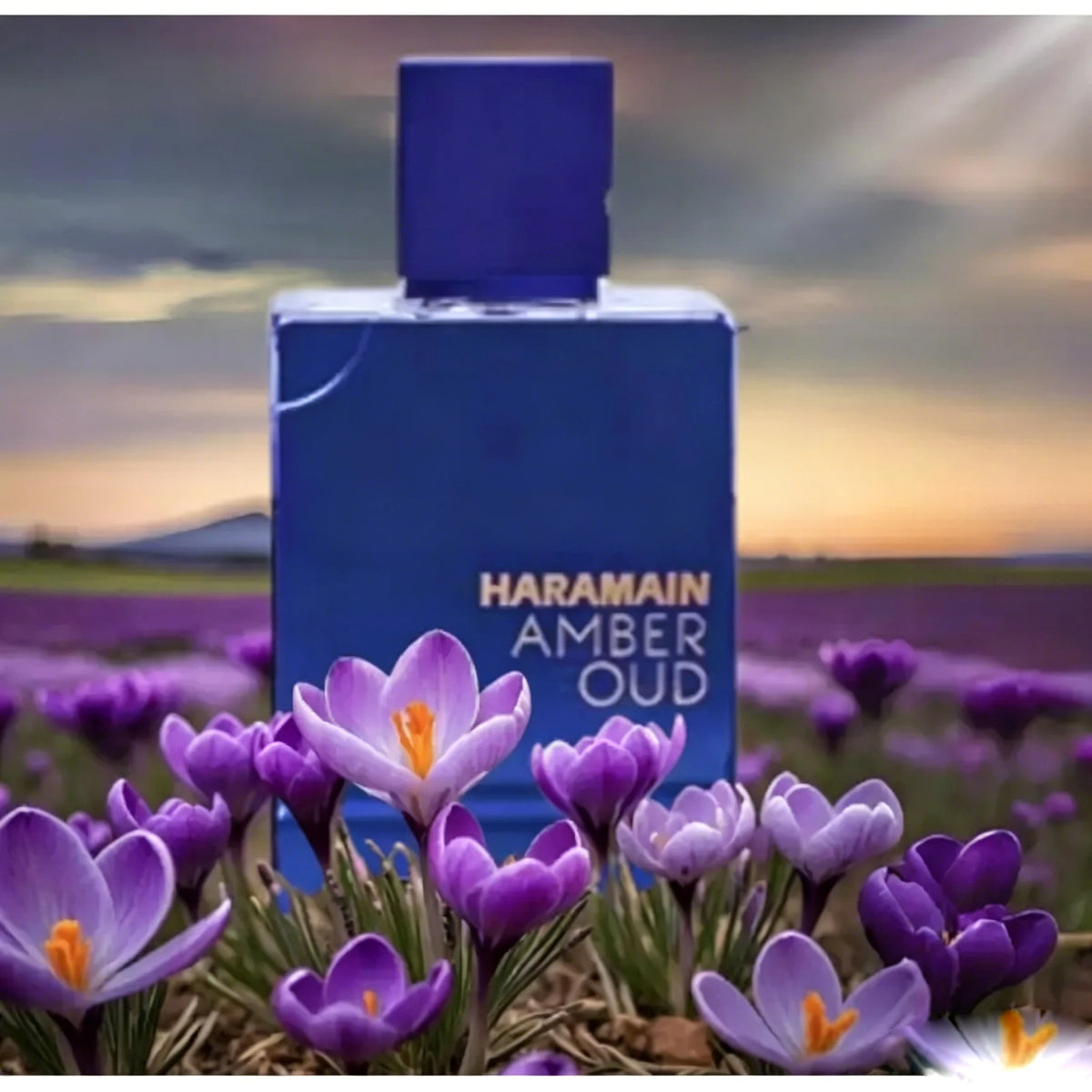 Al Haramain Amber Oud Alcohol Free Floral Unisex Perfume