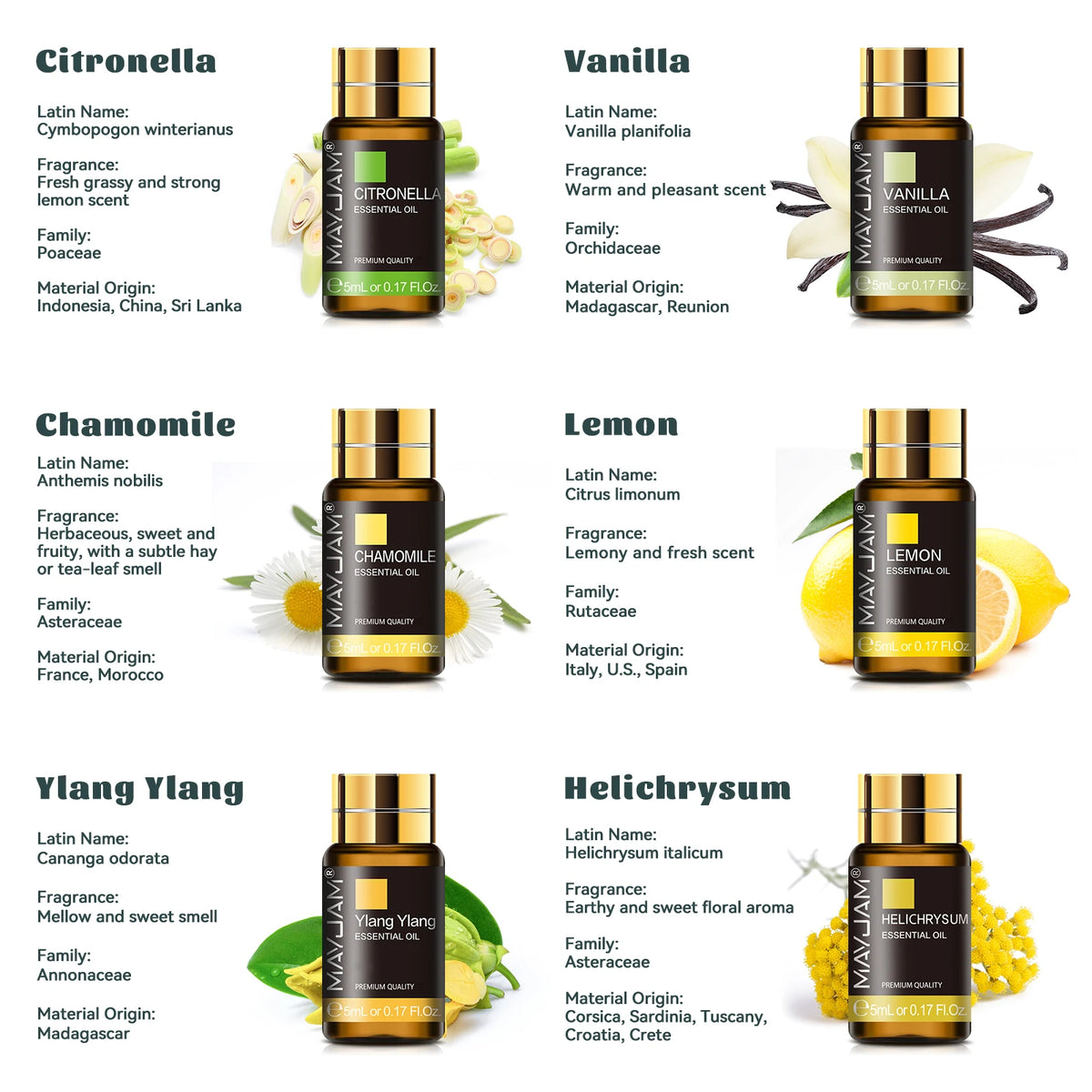 Mayjam 35 Piece Aromatic Essential Oils Collection Set