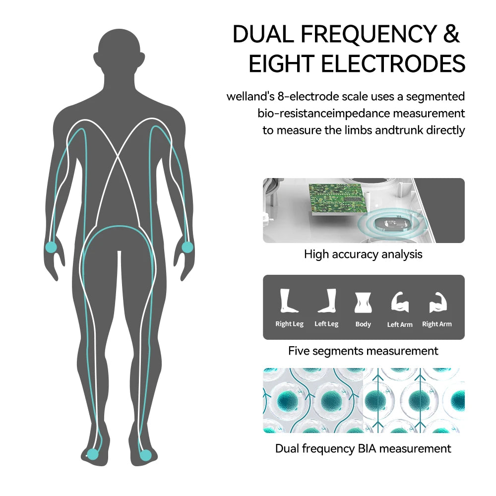 Eight Electrode Digital Smart Scale For Body Composition Analysis