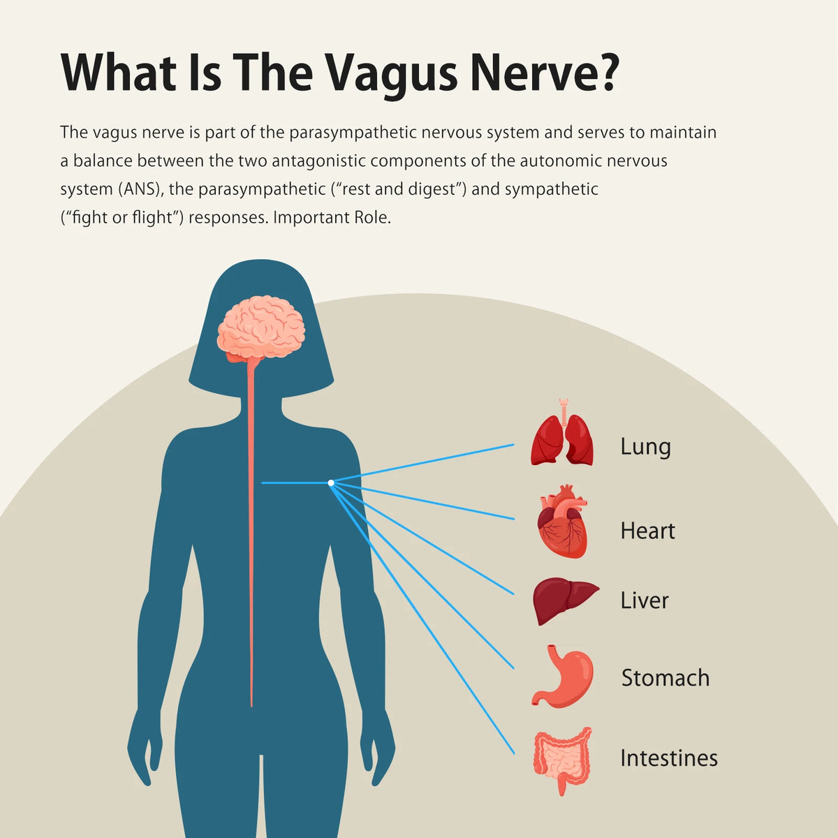 ZenoWell Vagus Nerve Stimulation Device For Deep Sleep And Relaxation